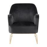 Lumisource Daniella Contemporary Accent Chair in Gold Metal and Black Velvet