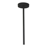 Moes Home Whistler Pendant Lamp in Black